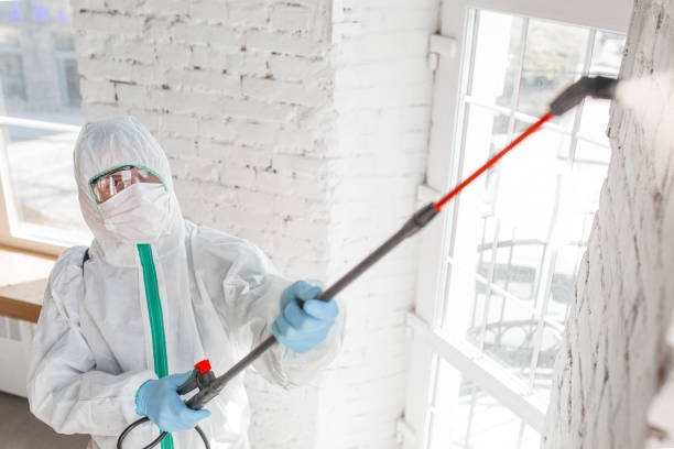 Best Mold Documentation for Insurance Claims  in Unalaska, AK