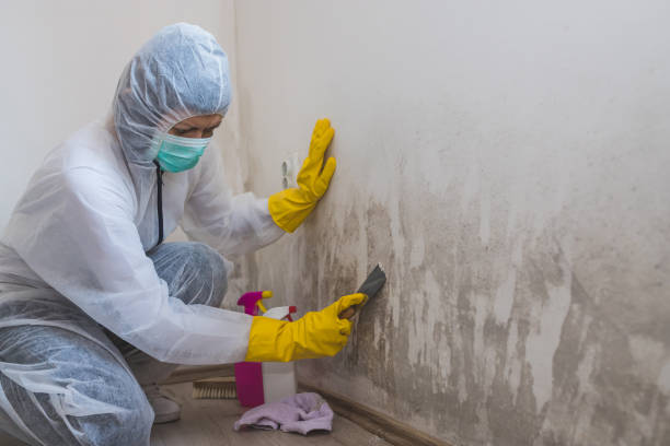 Best Emergency Mold Remediation  in Unalaska, AK