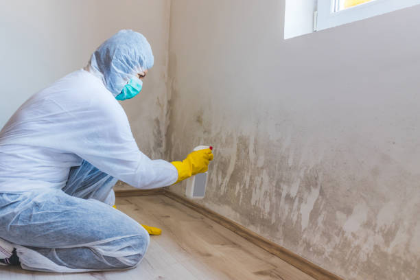 Best Crawl Space Mold Remediation  in Unalaska, AK