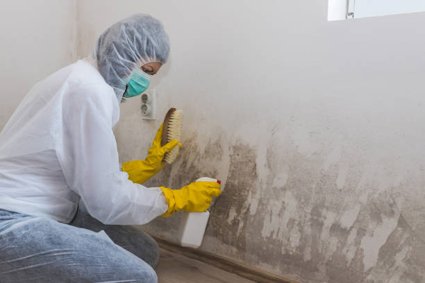 Best Mold Prevention Services  in Unalaska, AK