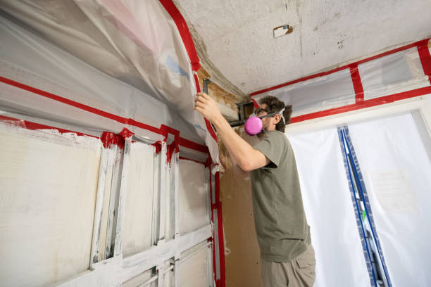 Best Indoor Air Quality Assessment  in Unalaska, AK