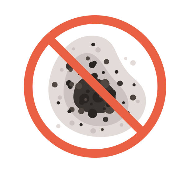 Best Black Mold Removal  in Unalaska, AK