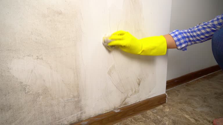 Best Industrial Mold Remediation  in Unalaska, AK