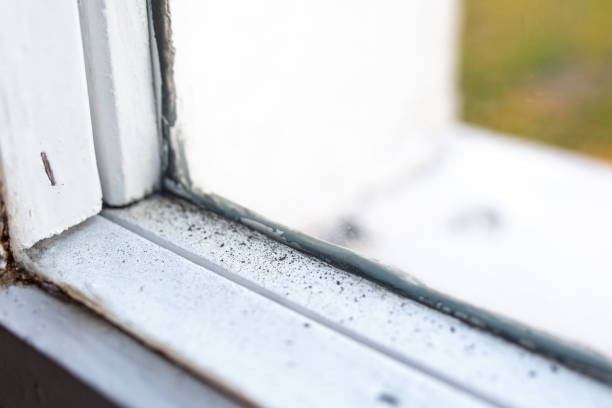 Best Mold Odor Removal Services  in Unalaska, AK