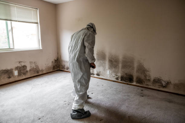 Best Residential Mold Inspection & Testing  in Unalaska, AK