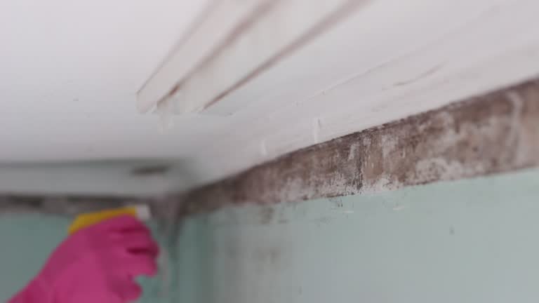Best Airborne Mold Testing  in Unalaska, AK
